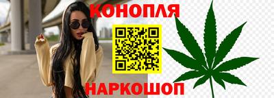 мяу мяу мука Владивосток